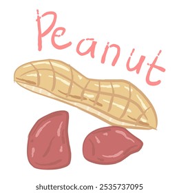 The peanut shell that sits on top of two peanuts. The peanut shell has a textured surface with lines that indicate the segments of the peanut shell. The two peanuts underneath are reddish brown.