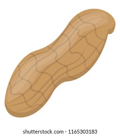 Peanut in a shell used as edible fruit in winters 