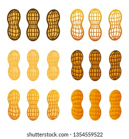Peanut in shell vector icon set. Cartoon illustration of nut icon for web design, emblems and labels isoleted on white backgraund