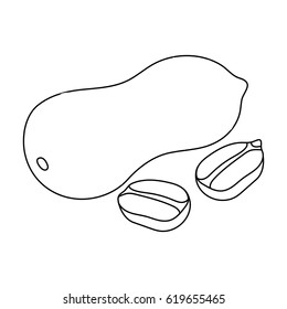 Peanut in the shell.Different kinds of nuts single icon in outline style vector symbol stock illustration.