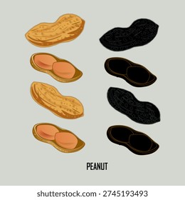 Peanut Silhouette – Groundnut Seed Shape Isolated on White Background.Ideal for logo design, icons, packaging, food labels, agricultural concepts, minimalist graphics, and vector-based projects.