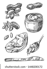 Peanut sketch illustration. Hand drawn beautiful vintage black and white set of groundnut.