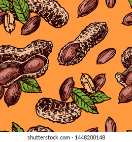 Peanut sketch seamless pattern. Hand drawn beautiful vintage set of groundnut.
