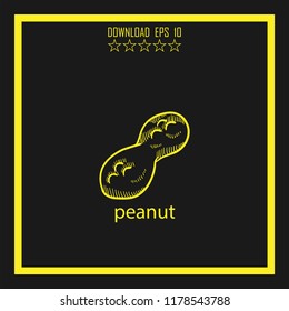 peanut sketch vector icon