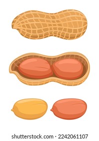 Peanut symbol set illustration vector