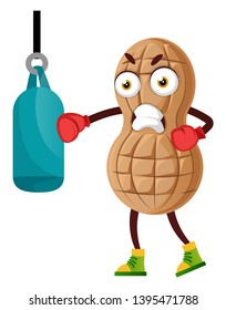 Peanut training hard, illustration, vector on white background.