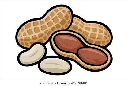Cacahuete variedad que muestra conchas granos y mitades de Arte vectorial aislado sobre fondo blanco