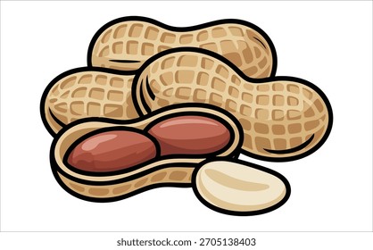 Cacahuete variedad que muestra conchas granos y mitades de Arte vectorial aislado sobre fondo blanco