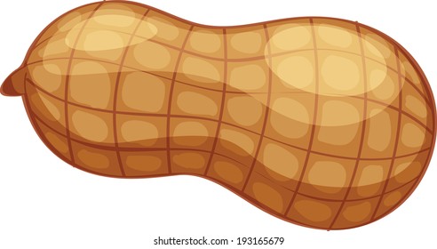 Peanut vector