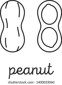 Peanut Vector Clipart Logo Design Element Stock Vector (Royalty Free ...