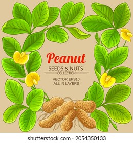 peanut vector frame on color background