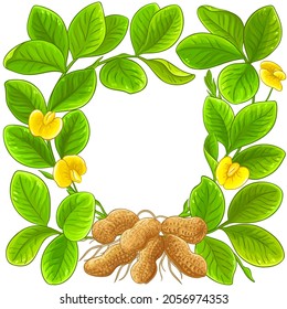 peanut vector frame on white background