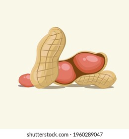 peanut vector graphics illustration. peanuts