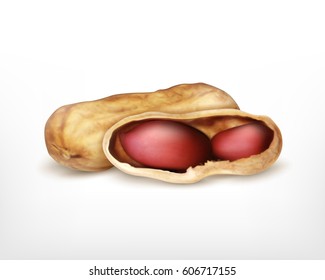 Peanut. Vector icon. EPS10