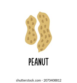 The peanut vector icon is isolated on a white background. Flat modern simple illustration.