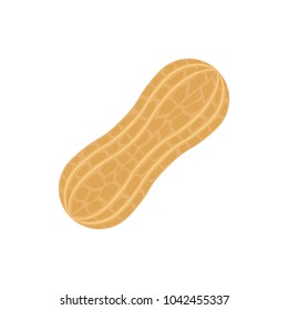 Peanut. Vector Illustration.