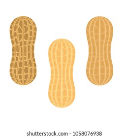 Peanut. Vector illustration