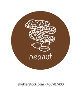 Peanut vector illustration. Hand drawn peanut icon