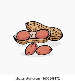 Peanut vector illustration isolated for all purpose