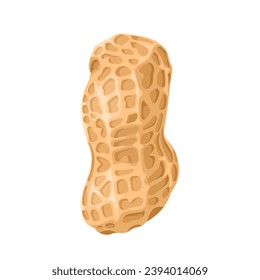 Peanut vector illustration, isolated on white background.