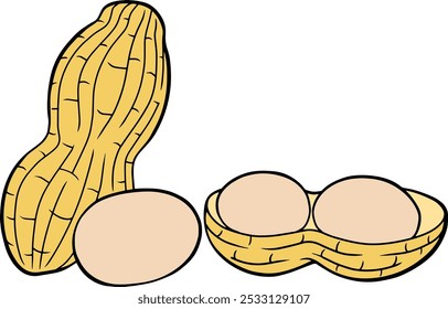 peanut vector illustration isolated on with background