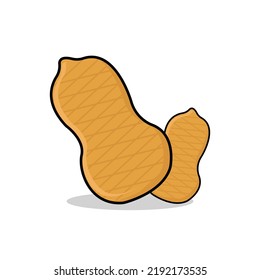 peanut vector illustration on white background