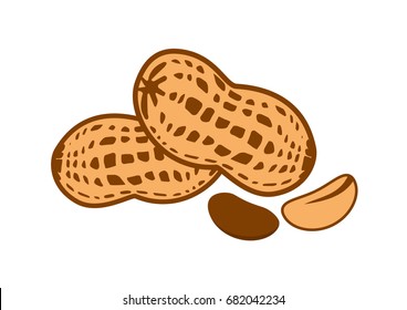 Peanut Vector Illustration. Peanut On A White Background