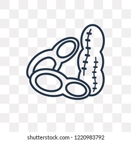 Peanut vector outline icon isolated on transparent background, high quality linear Peanut transparency concept can be used web and mobile