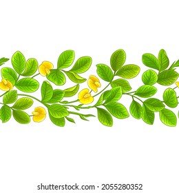 peanut vector pattern on white background