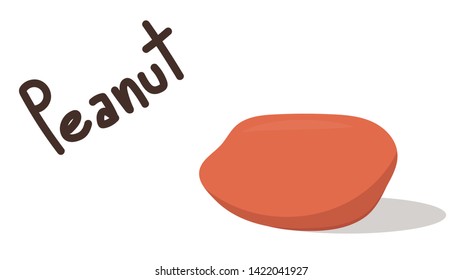 peanut vector. wallpaper. free space for text. copy space. background. peanut on white background.