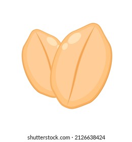 Vector de cacahuete. fondo de pantalla. espacio libre para texto. espacio de copia. de fondo. cacahuete sobre fondo blanco.