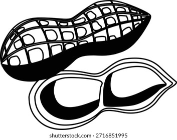 Peanut vegetable mono shadow illustration