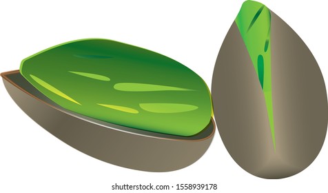 
peanut vektor modern logo design