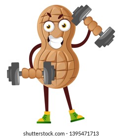 Peanut working with weights, illustration, vector on white background.