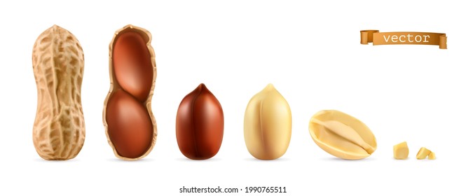 Peanuts. 3d realistic vector object set