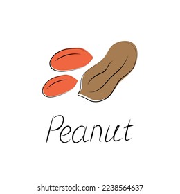 Peanuts in cartoon style. Nut icon for template label, packaging snackand emblem. Vector