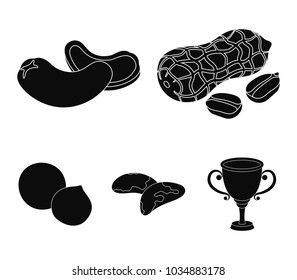 Peanuts, cashews, brazil nuts, macadamia.Different kinds of nuts set collection icons in black style vector symbol stock illustration web.