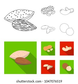 Peanuts, cashews, brazil nuts, macadamia.Different kinds of nuts set collection icons in outline,flat style vector symbol stock illustration web.