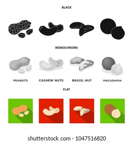 Peanuts, cashews, brazil nuts, macadamia.Different kinds of nuts set collection icons in black, flat, monochrome style vector symbol stock illustration web.