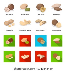 Peanuts, cashews, brazil nuts, macadamia.Different kinds of nuts set collection icons in cartoon,flat style vector symbol stock illustration web.