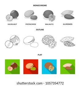 Peanuts, cashews, brazil nuts, macadamia.Different kinds of nuts set collection icons in flat,outline,monochrome style vector symbol stock illustration web.