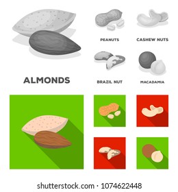 Peanuts, cashews, brazil nuts, macadamia.Different kinds of nuts set collection icons in monochrome,flat style vector symbol stock illustration web.