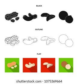 Peanuts, cashews, brazil nuts, macadamia.Different kinds of nuts set collection icons in black,flat,outline style vector symbol stock illustration web.