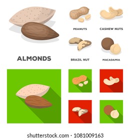 Peanuts, cashews, brazil nuts, macadamia.Different kinds of nuts set collection icons in cartoon,flat style vector symbol stock illustration web.