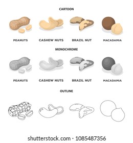 Peanuts, cashews, brazil nuts, macadamia.Different kinds of nuts set collection icons in cartoon,outline,monochrome style vector symbol stock illustration web.