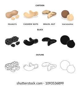 Peanuts, cashews, brazil nuts, macadamia.Different kinds of nuts set collection icons in cartoon,black,outline style vector symbol stock illustration web.