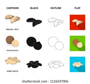 Peanuts, cashews, brazil nuts, macadamia.Different kinds of nuts set collection icons in cartoon,black,outline,flat style vector symbol stock illustration web.
