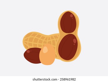 Peanuts in closeup. Vector Illustration