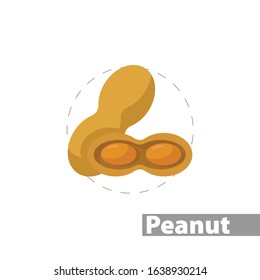 Peanuts color icon. isolated vector illustration