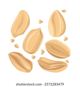 Peanuts. For design projects, food packaging, advertising, or creating educational materials, ideal for use in food-related branding, health-conscious products, or culinary-themed artwork.